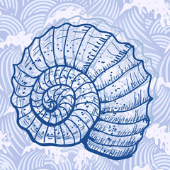 Sea shell