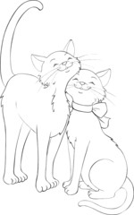 Schmusekatzen