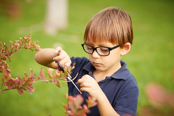 Little boy gardening outdoors