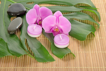 Leaf of a monstera, orchid, candle and stones