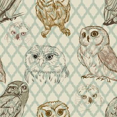 Seamless background with retro owl sketches