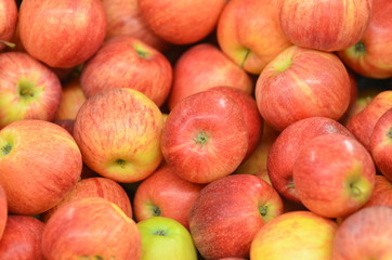pommes dorées