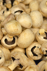 champignons de Paris