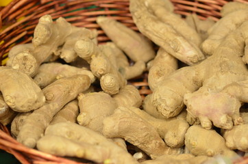 gingembre