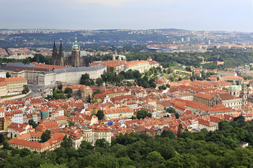 Obraz premium Saint Vitus Cathedral and Prague Castle. View from Petrin Lookou