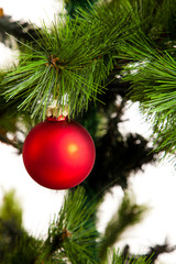  Christmas-tree decorations