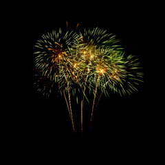 Colorful fireworks on the black sky background