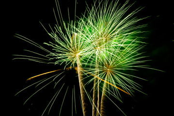 Colorful fireworks on the black sky