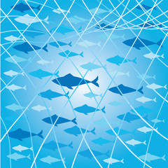 background with fishes and net