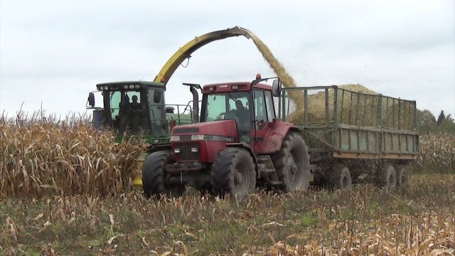 corn field heavy machinery gather autumn maize corn harvest