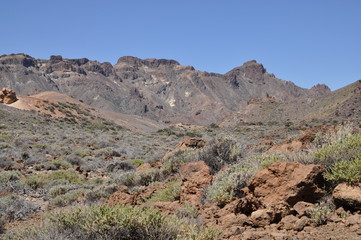 Canadas, Teneriffa