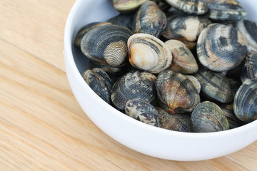 vongole