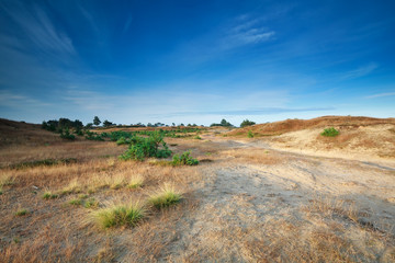 Fototapeta premium morning sunlight over sand dunes