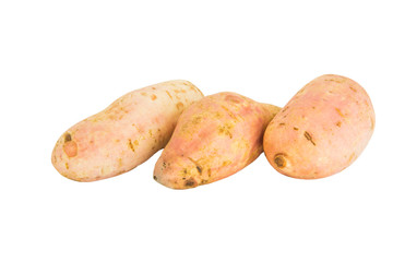Sweet Potato over white background