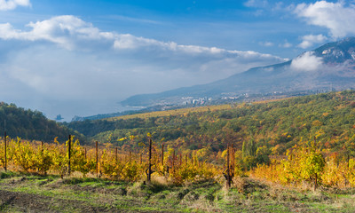 Black Sea landscape at fall season