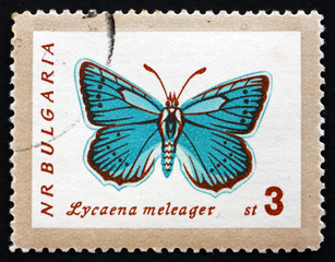 Postage stamp Bulgaria 1962 Meleager’s Blue, Butterfly