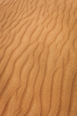 Fototapeta na wymiar Dubai desert sand detail