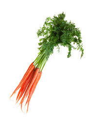 Fresh carrots