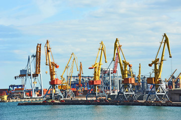 Obraz premium Port cargo crane and container over blue sky background