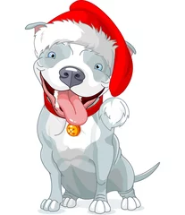 Türaufkleber Weihnachts-Pitbull-Hund © Anna Velichkovsky