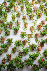 Wall pots in Cordoba