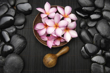 frangipani flower in bowl with wooden spoon