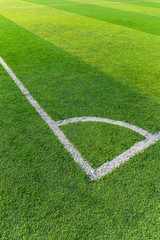 Obraz premium Soccer field grass with white line