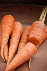 fresh carrots.