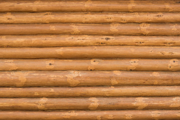 Wall of chopped wood.