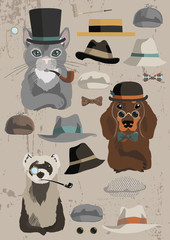 Animals in Hats