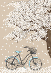 Bicycle and Blooming Tree