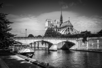 view of the Seine and Notre-Dame in Paris