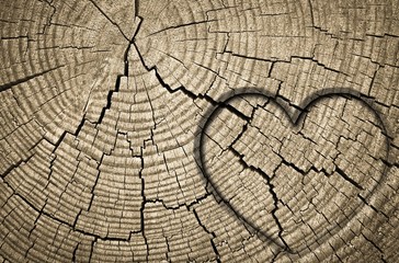 heart on wooden background
