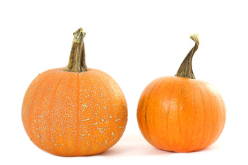 Two pumpkins isolated