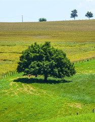 Country landscape in Aveyron (France)