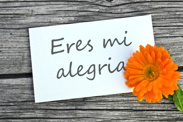 Naklejka premium You are my sunshine