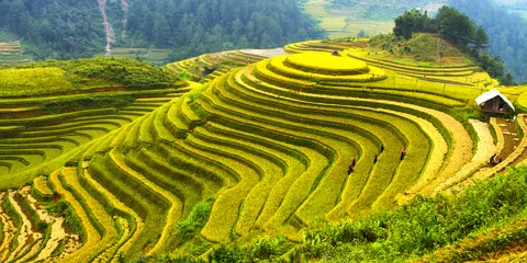 Foto auf Acrylglas Reisfelder Mu Cang Chai, Vietnam © sonha