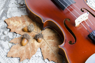 Violin