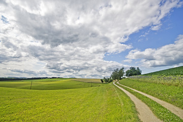den Weg entlang