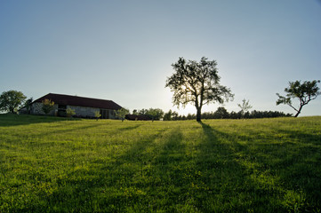der alte Bauernhof