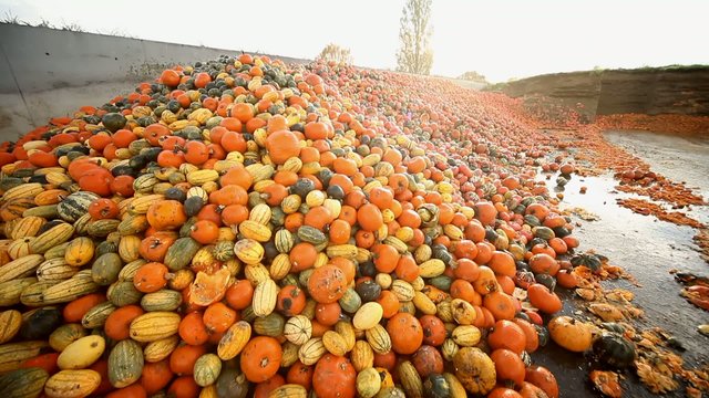 &Uuml;berproduktion von Lebensmitteln - K&uuml;rbisse