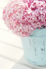 Papier Peint photo autocollant Hortensia Pink hydrangea flowers