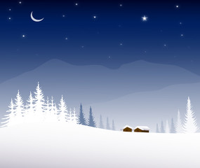 Winter Night Landscape - Vector