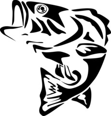 Fish illustration
