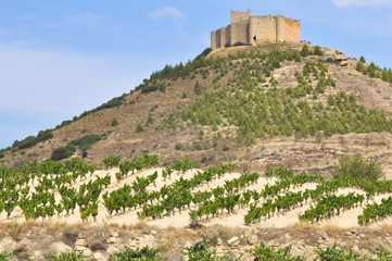 Fototapeta premium Vineyards and Davalillo castle, La Rioja (Spain)