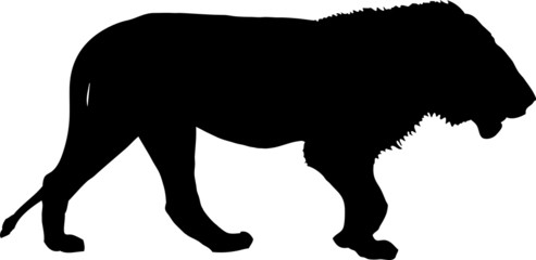 pictogramme lion