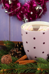 Cup of hot cacao with chocolates and fir branches