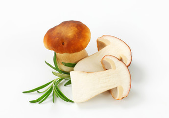 Fresh edible mushrooms