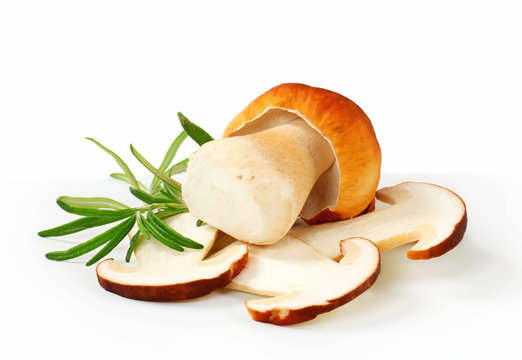 Fresh edible mushrooms