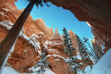  Bryce canyon panorama with snow in Winter © estivillml
